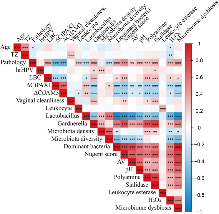 Correlation heatmap of clinical indexes