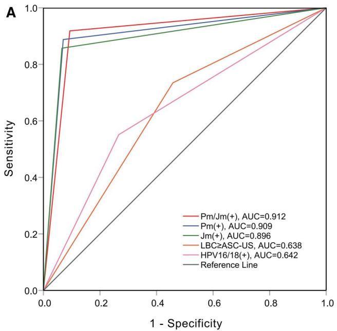 ROC curves of various methods for CIN2+