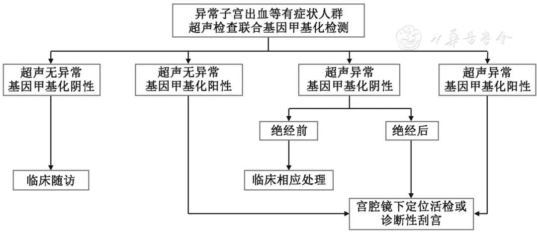 Fig2 symptomatic population flow